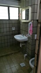 Braddell View (D20), Apartment #622173721